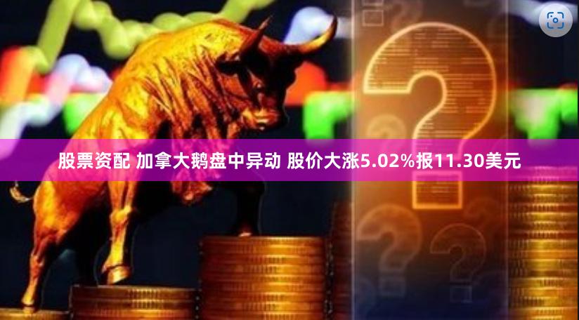 股票资配 加拿大鹅盘中异动 股价大涨5.02%报11.30美元