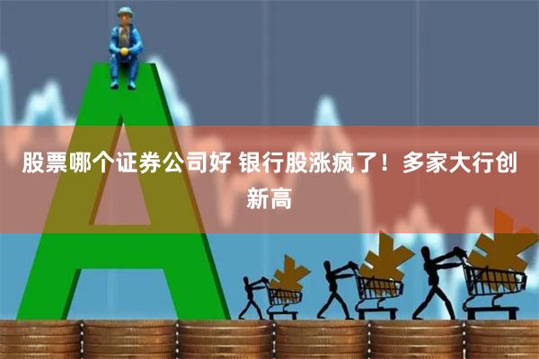 股票哪个证券公司好 银行股涨疯了！多家大行创新高