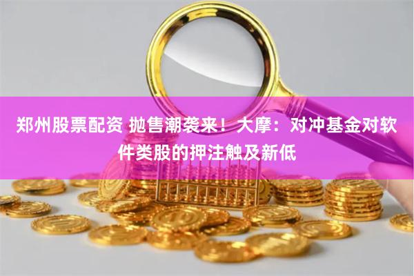 郑州股票配资 抛售潮袭来！大摩：对冲基金对软件类股的押注触及新低