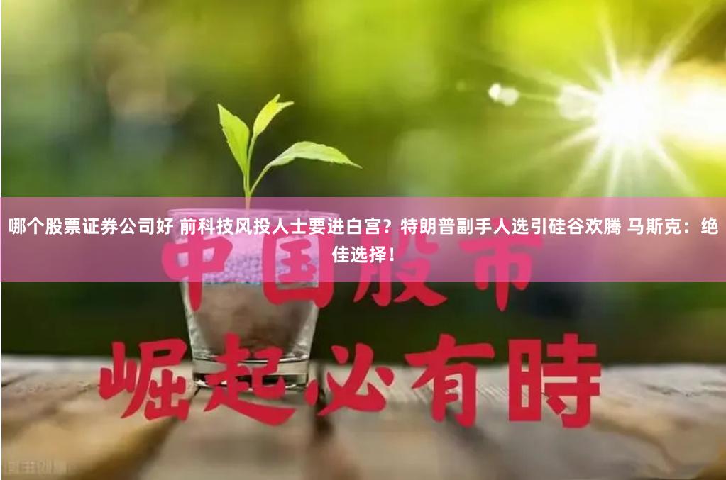 哪个股票证券公司好 前科技风投人士要进白宫？特朗普副手人选引硅谷欢腾 马斯克：绝佳选择！